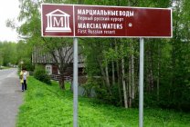 Марциальные воды