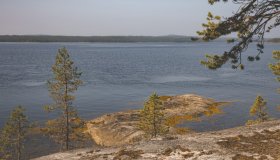 Заставка.jpg